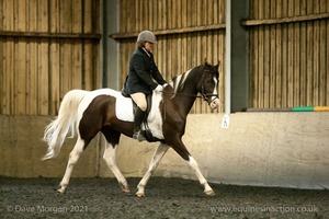 Isis Dressage Crown Farm Show 29th April 2012